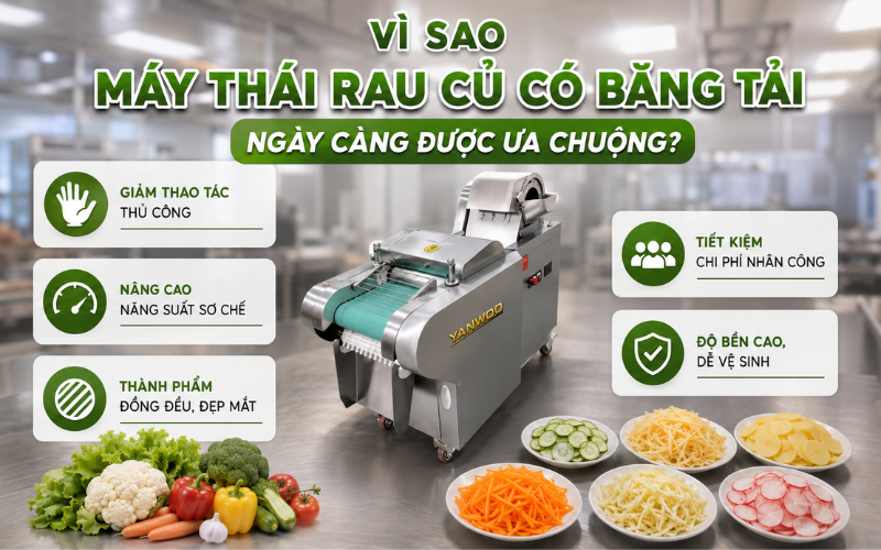 Vì sao máy thái rau củ có băng tải ngày càng được ưa chuộng?