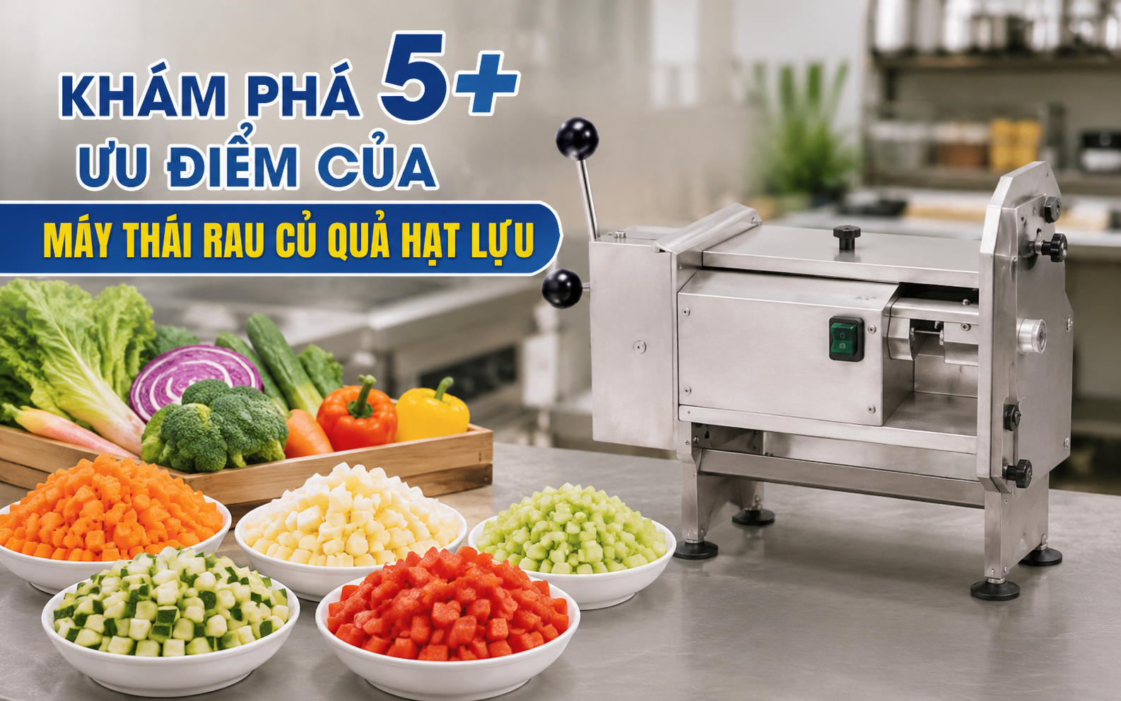 Khám phá 5+ ưu điểm của máy thái rau củ quả hạt lựu