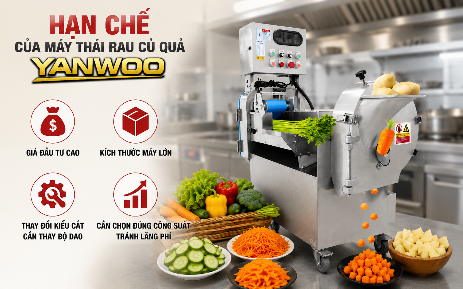 Hạn chế của máy thái rau củ Yanwoo
