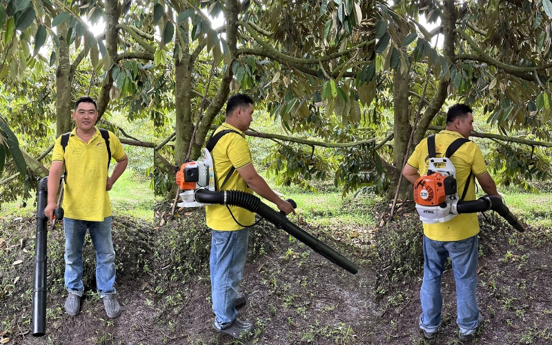 Bàn giao và test máy thổi lá STIHL BR-200 cho khách