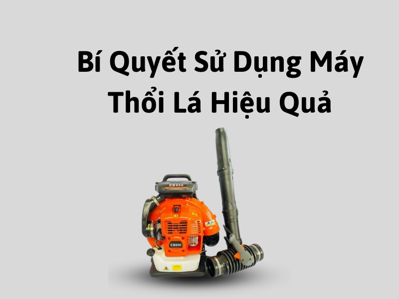 Bí Quyết Sử Dụng Máy Thổi Lá Hiệu Quả và An Toàn
