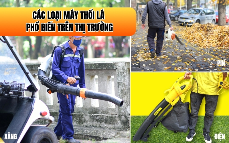 Các loại máy thổi lá phổ biến trên thị trường
