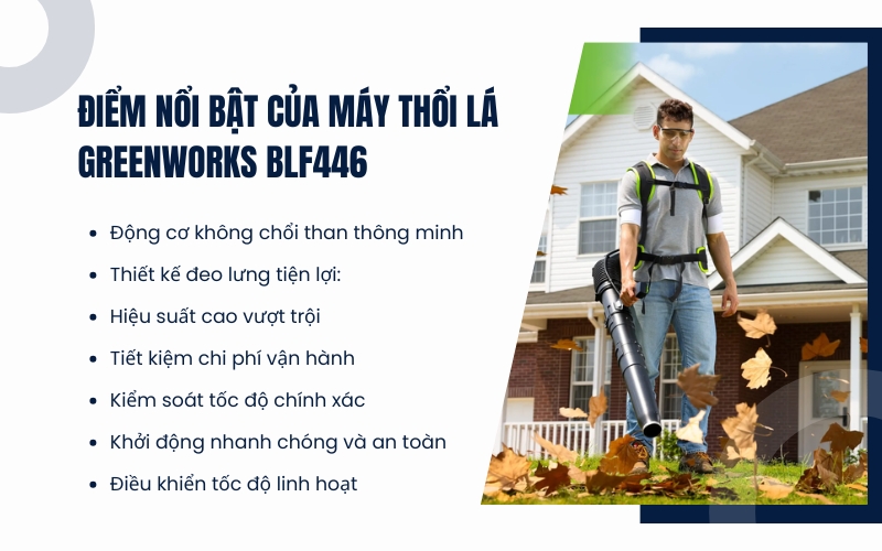 Điểm nổi bật của Máy thổi lá Greenworks BLF446