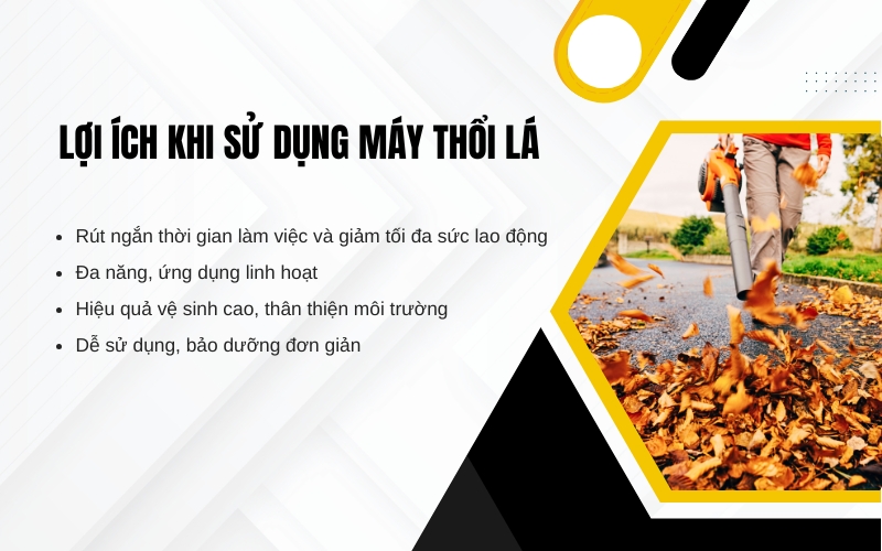 Lợi ích khi sử dụng máy thổi lá