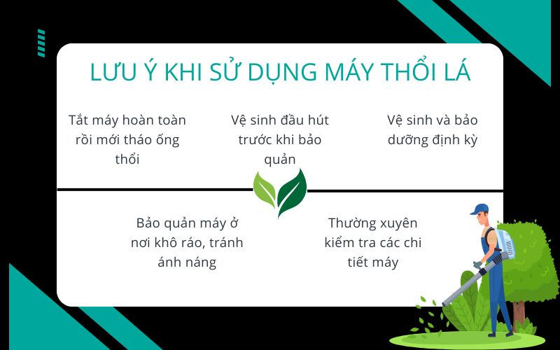 Lưu ý khi sử dụng máy thổi lá