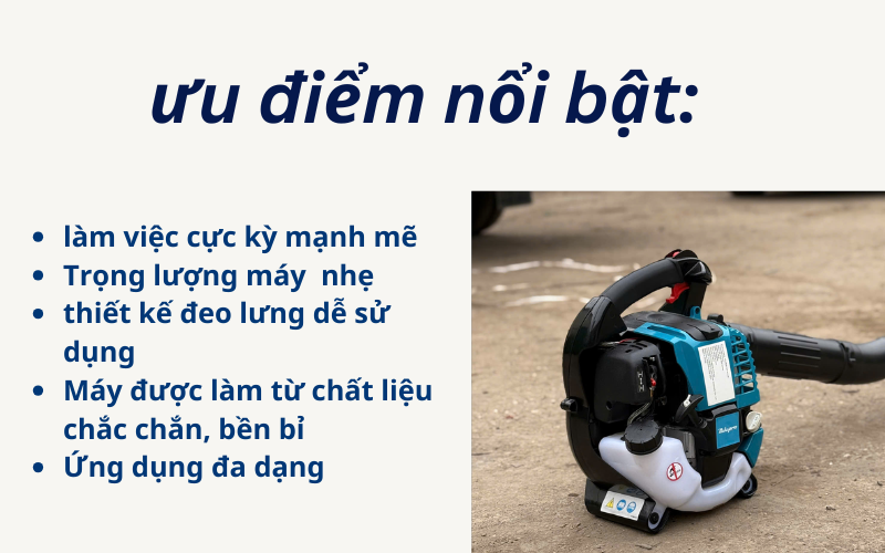 Máy thổi lá 4 thì HM-EB2500