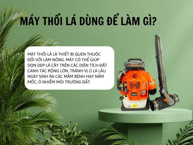 Máy thổi lá dùng để làm gì? Cấu tạo và nguyên lý hoạt động