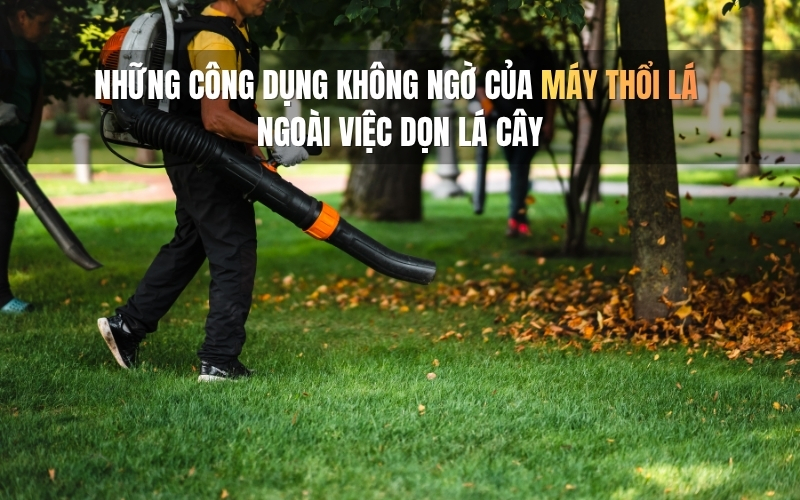 Những công dụng không ngờ của máy thổi lá ngoài việc dọn lá cây
