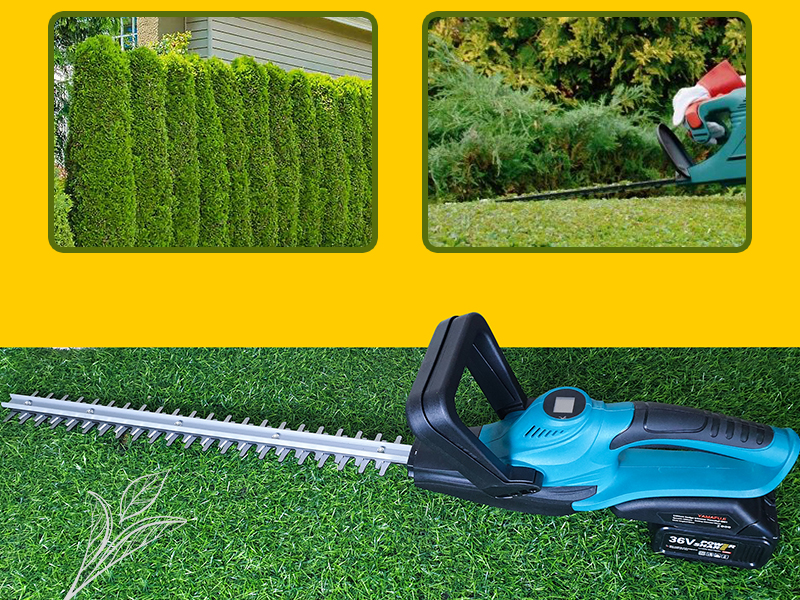 Ứng dụng của máy tỉa hàng rào chạy pin Yamafuji 8601 (36V)