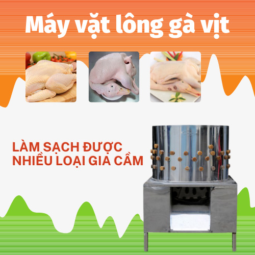 Làm sạch được nhiều loại gia cầm