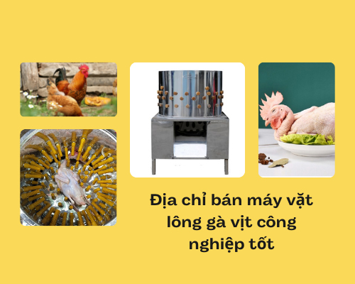 Địa chỉ bán máy vặt lông gà vịt công nghiệp tốt