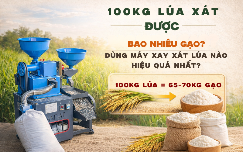 100 Kg Lúa Xát Được Bao Nhiêu Gạo? Dùng Máy Xay Xát Lúa Nào?