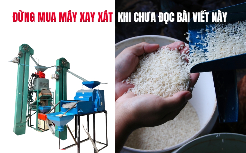 [2025] Đừng mua máy xay xát khi chưa đọc bài viết này