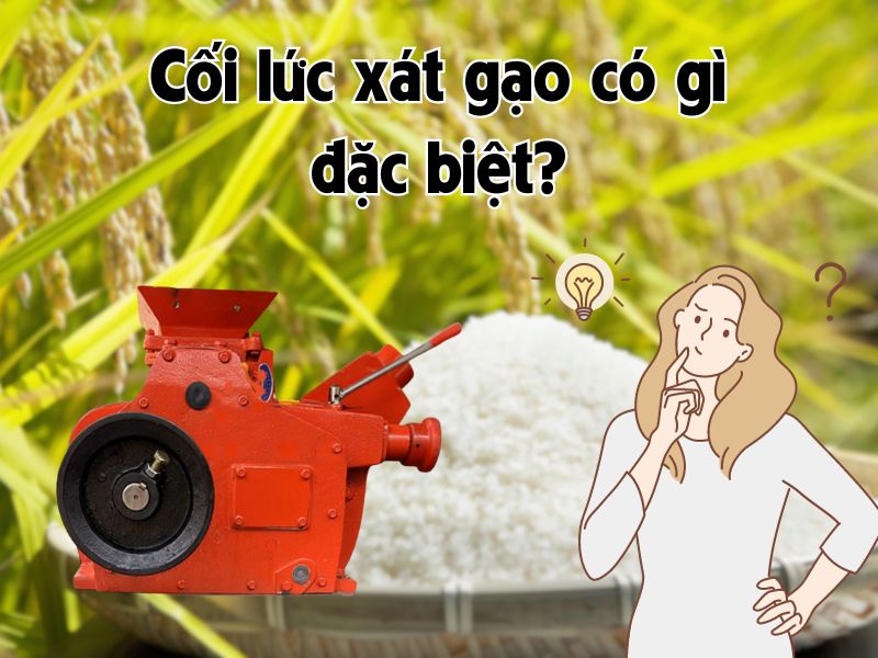 Cối lức xát gạo co gì đặc biệt