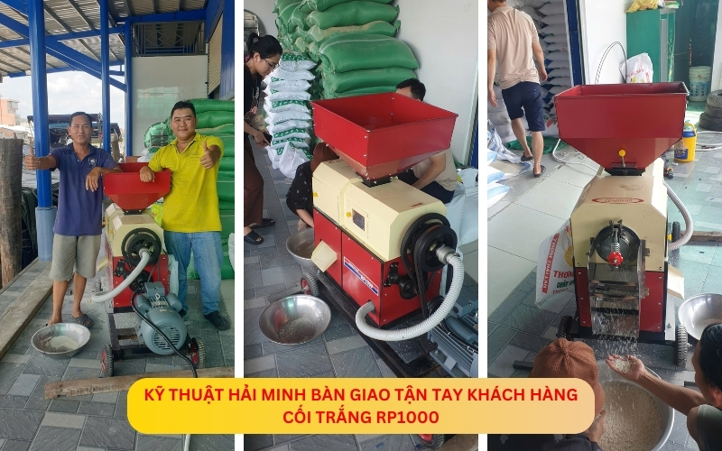 Cối trắng RP1000