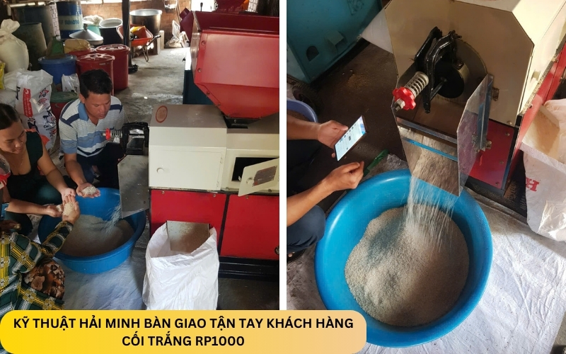 Cối trắng RP1000