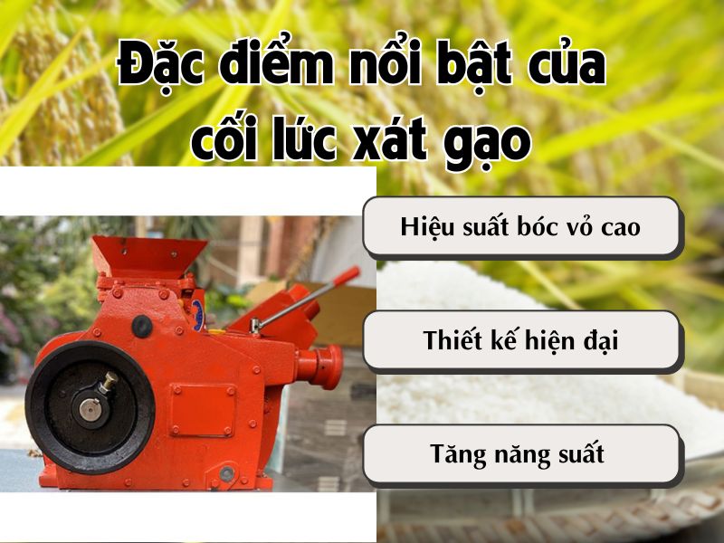 Đặc điểm nổi bật của cối lức xát gạo