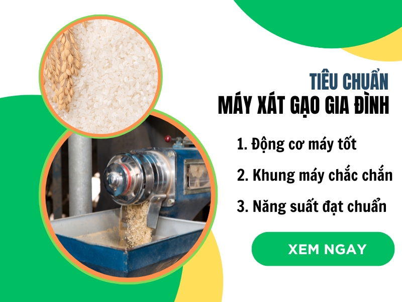 Lua-chon-mua-mat-xat-lua-gao-nhu-the-nao-dat-chuan