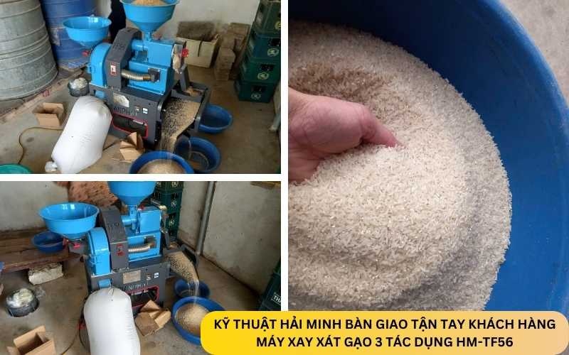 Máy xay xát gạo 3 tác dụng HM-TF56