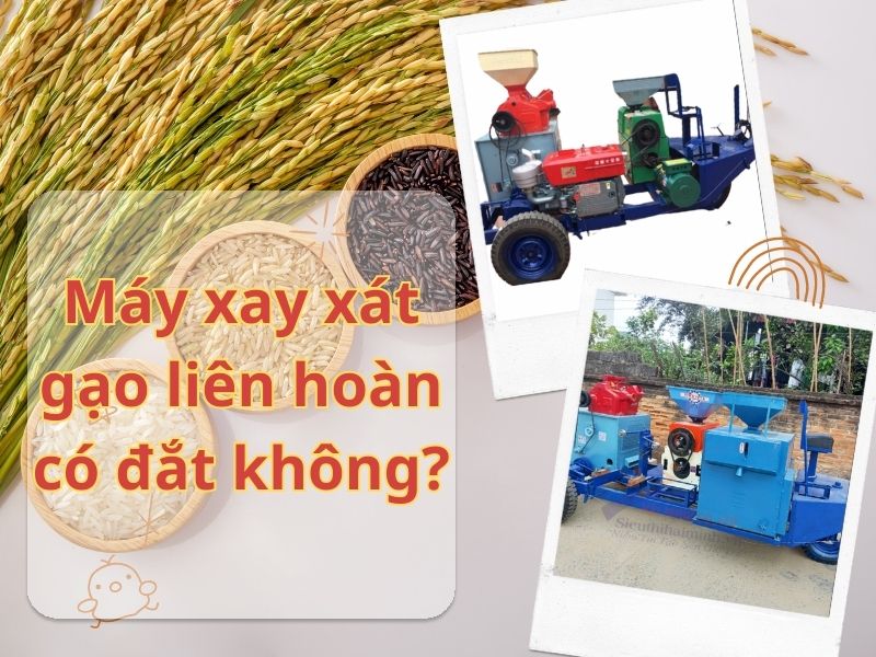 Máy xay xát gạo liên hoàn có đắt không?