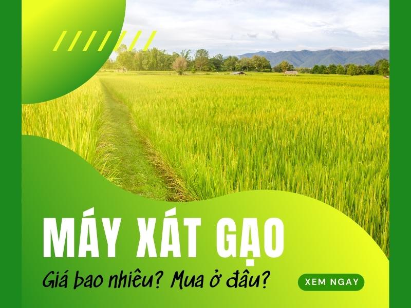 Các yếu tố ảnh hưởng đến tỷ lệ thu hồi gạo