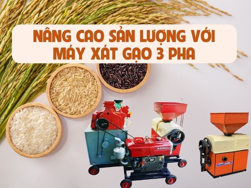 Nâng cao sản lượng với máy xát gạo 3 pha