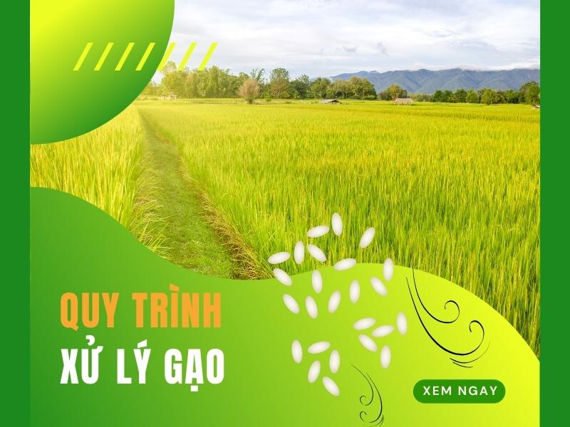 Quy-Trinh-Xu-Ly-Gao-Sau-Khi-Su-Dung-May-Xay-Lua