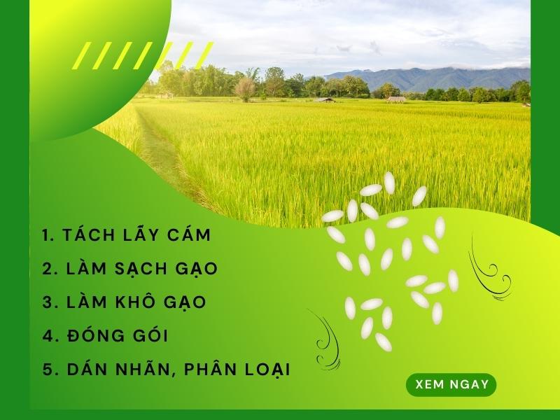 Quy-Trinh-Xu-Ly-Gao-Sau-Khi-Su-Dung-May-Xay-Lua