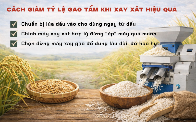 Cách giảm tỷ lệ gạo tấm khi xay xát hiệu quả