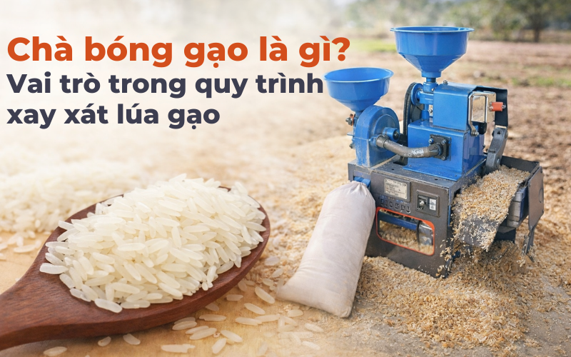 Chà bóng gạo là gì? Vai trò trong quy trình xay xát lúa gạo
