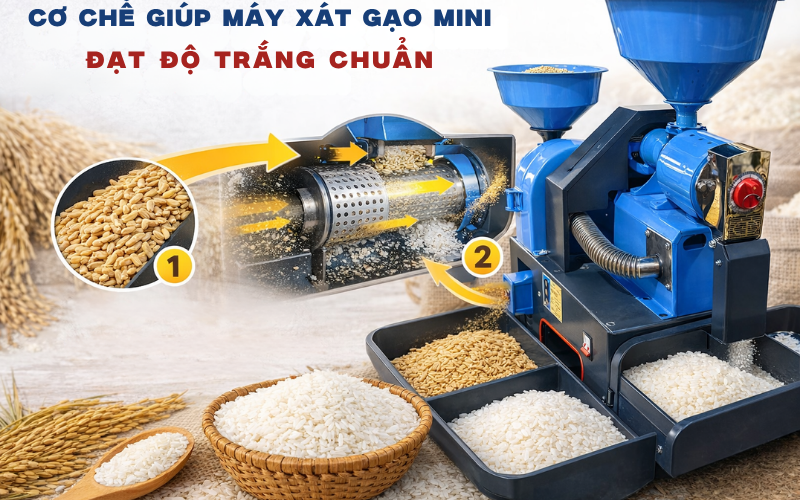 Cơ chế giúp máy xát gạo mini đạt độ trắng chuẩn