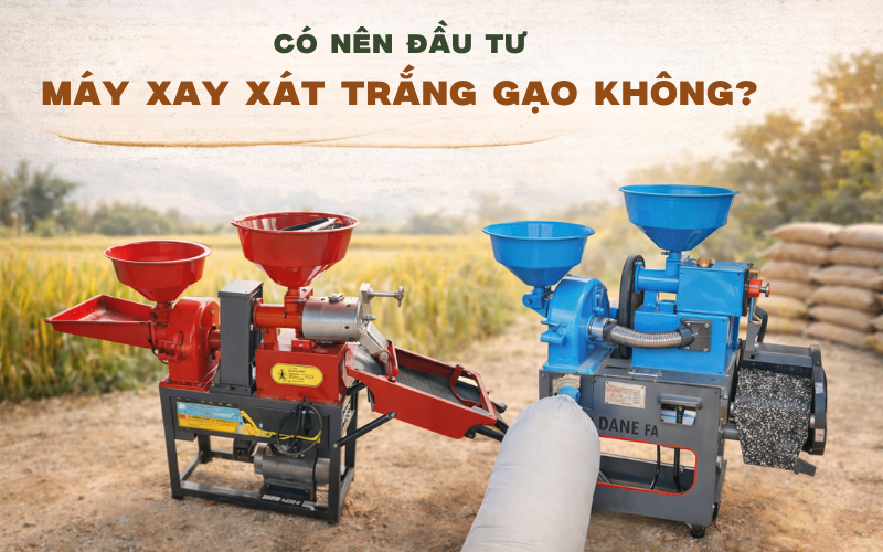 Có nên đầu tư máy xay xát trắng gạo không