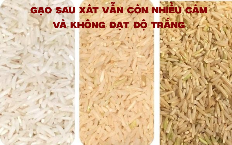 Gạo sau xát vẫn còn nhiều cám và không đạt độ trắng
