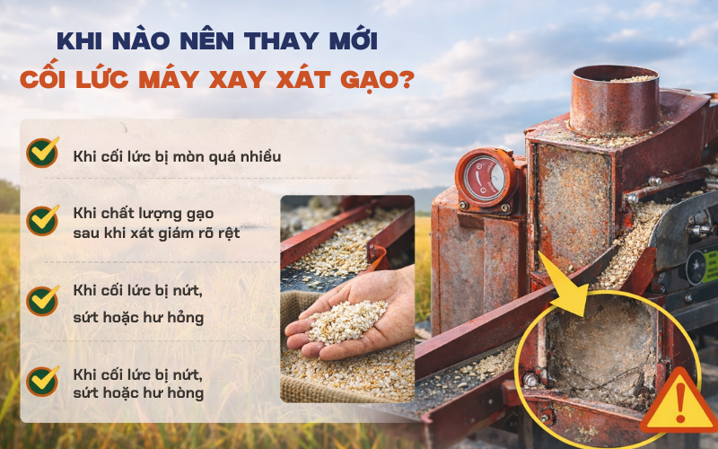 Khi nào nên thay mới cối lức máy xay xát gạo?