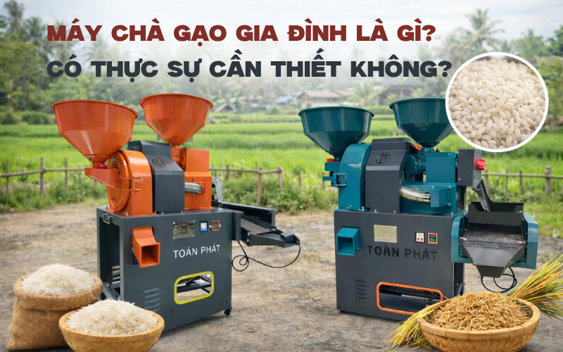 Máy chà gạo gia đình là gì? Có thực sự cần thiết không