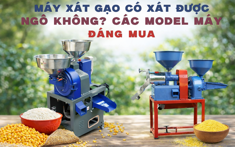Máy xát gạo có xát được ngô không? Các model máy đáng mua