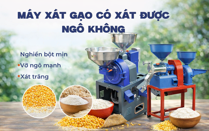 Máy xát gạo có xát được ngô không