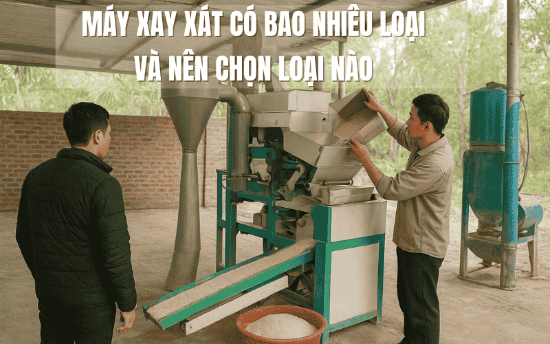 Máy Xay Xát Có Bao Nhiêu Loại Và Nên Chọn Loại Nào