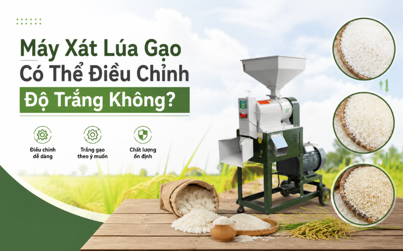 Máy Xát Lúa Gạo Có Thể Điều Chỉnh Độ Trắng Không?