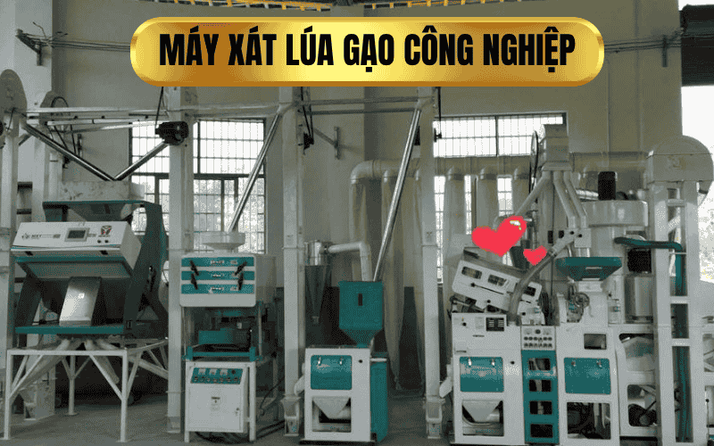 Máy xát lúa gạo công nghiệp
