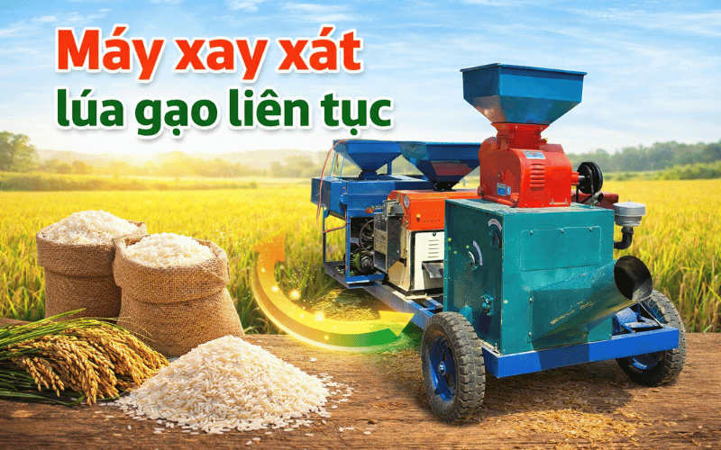 Máy xay xát lúa gạo liên tục
