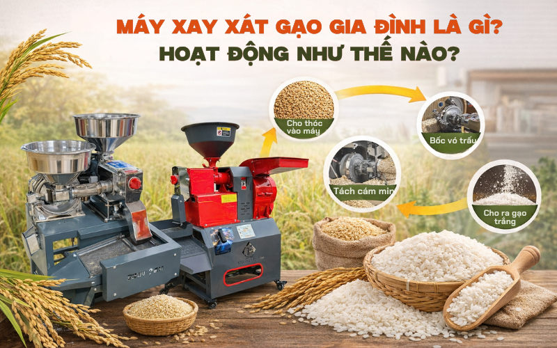 Máy xay xát gạo gia đình là gì? Hoạt động như thế nào?