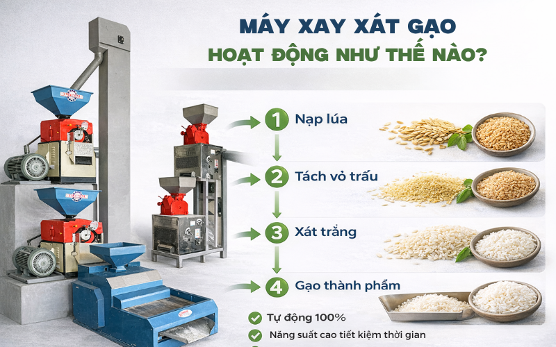 Máy Xay Xát Gạo Liên Hoàn Hoạt Động Như Thế Nào?