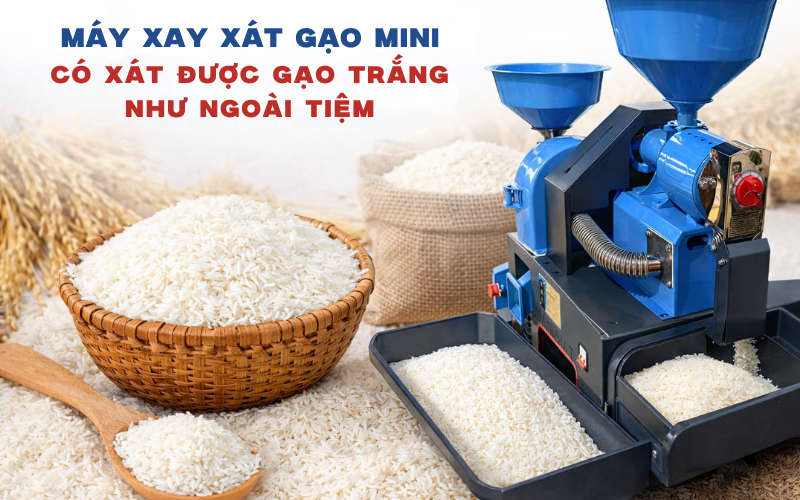 Máy Xay Xát Gạo Mini Có Xát Được Gạo Trắng Như Ngoài Tiệm