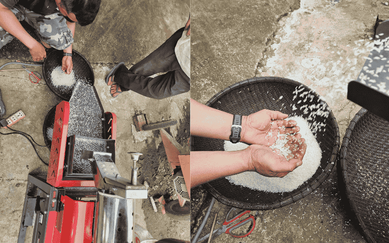 Nguyên lý xát gạo và yếu tố ảnh hưởng đến độ bóng