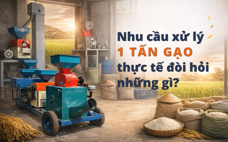 Nhu cầu xử lý 1 tấn gạo thực tế đòi hỏi những gì