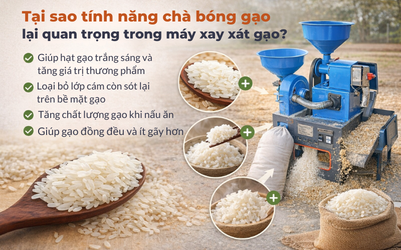 Tại sao tính năng chà bóng gạo lại quan trọng trong máy xay xát gạo? 