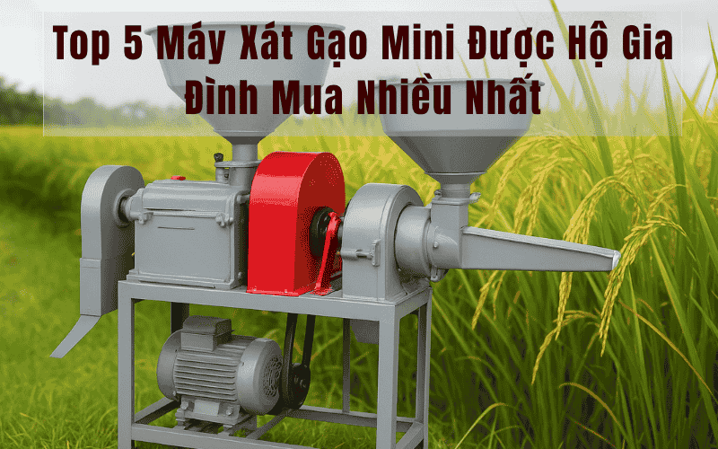 Top 5 Máy Xát Gạo Mini Được Hộ Gia Đình Mua Nhiều Nhất