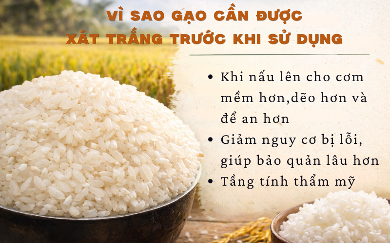 Vì sao gạo cần được xát trắng trước khi sử dụng