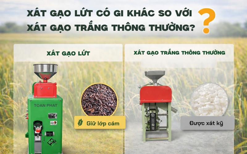 Xát gạo lứt có gì khác so với xát gạo trắng thông thường?